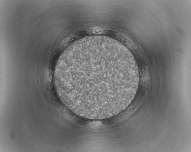 X0000115310374200912141142