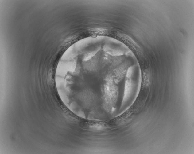 X0000115310377200912141142