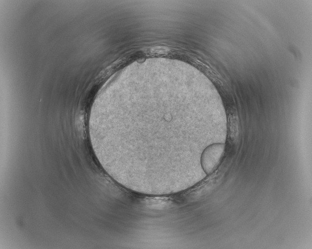 X0000115310378200912141142