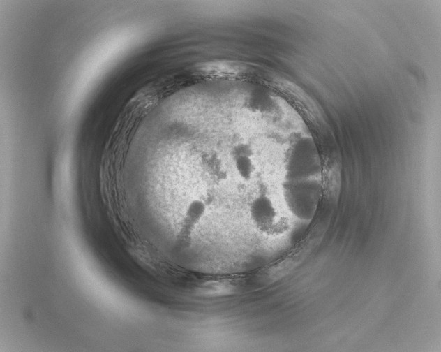 X0000115310381200912141142