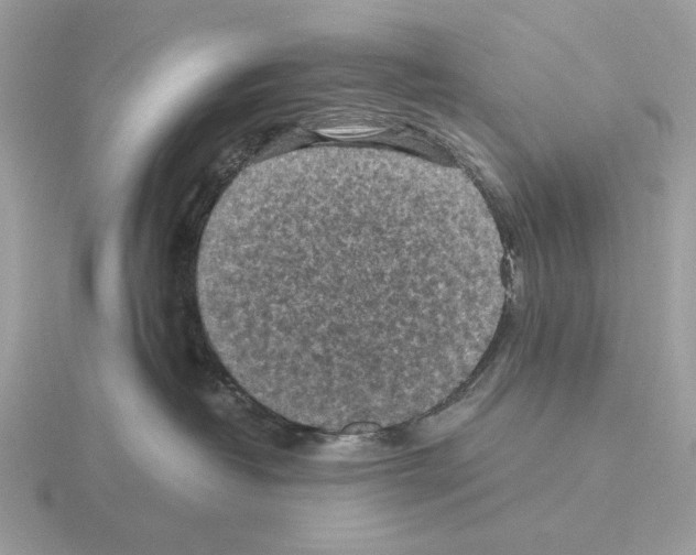 X0000115310382200912141142