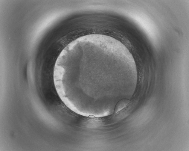 X0000115310383200912141142