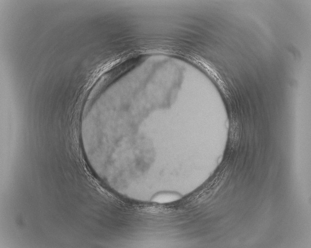 X0000115310385200912141141