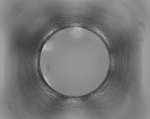 X0000115310386200912141141