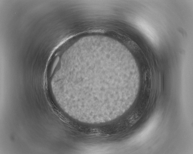 X0000115310388200912141141