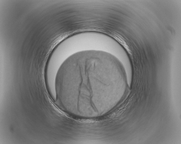 X0000115310389200912141141