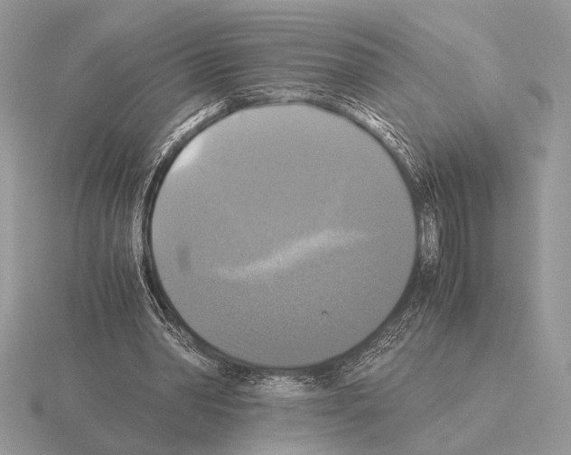 X0000115310390200912141141