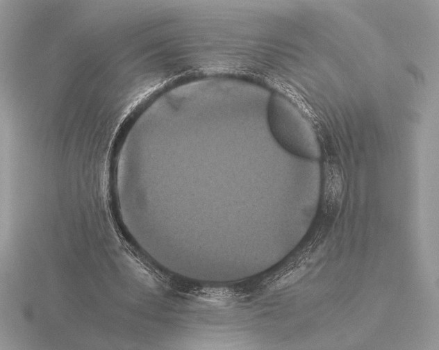 X0000115310391200912141141