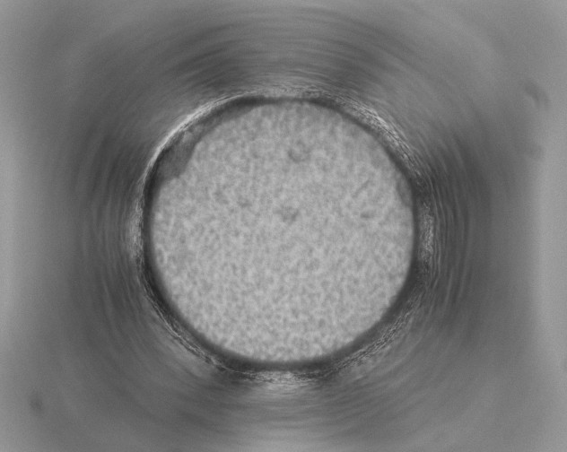 X0000115310392200912141141