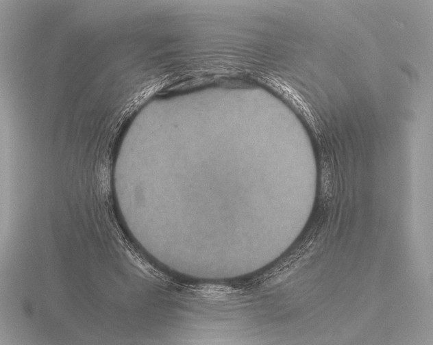 X0000115310393200912141141