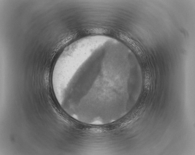 X0000115310394200912141141