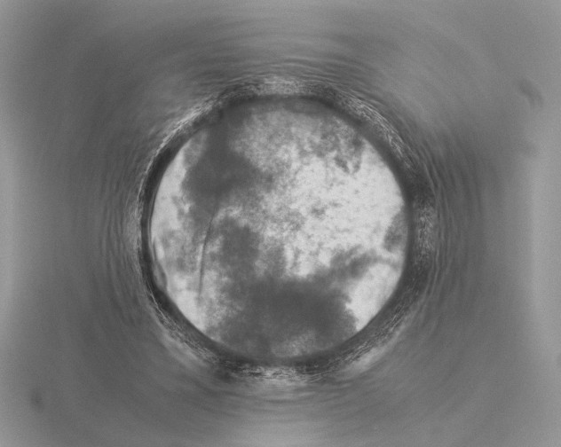 X0000115310395200912141141