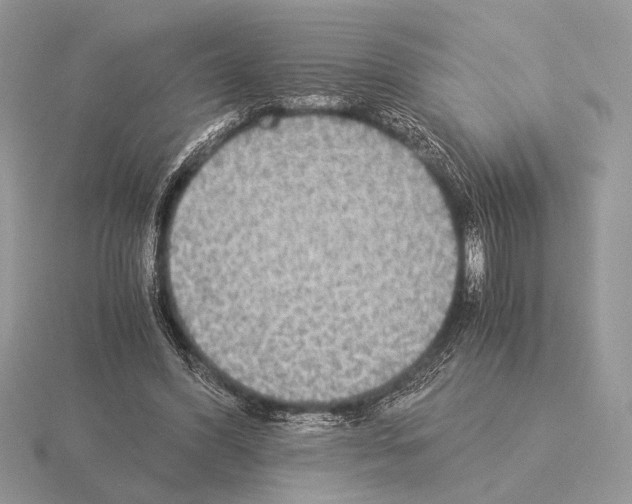 X0000115310396200912141141