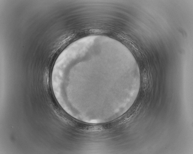 X0000115310398200912141141