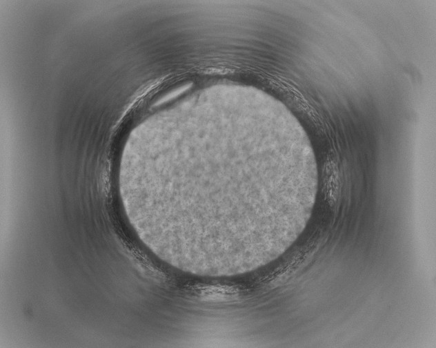 X0000115310400200912141141