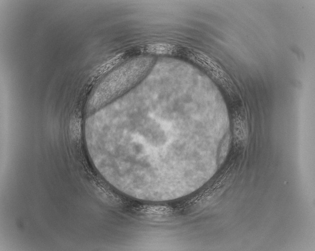 X0000115310401200912141141