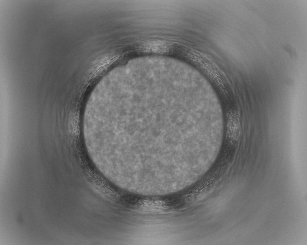 X0000115310403200912141141