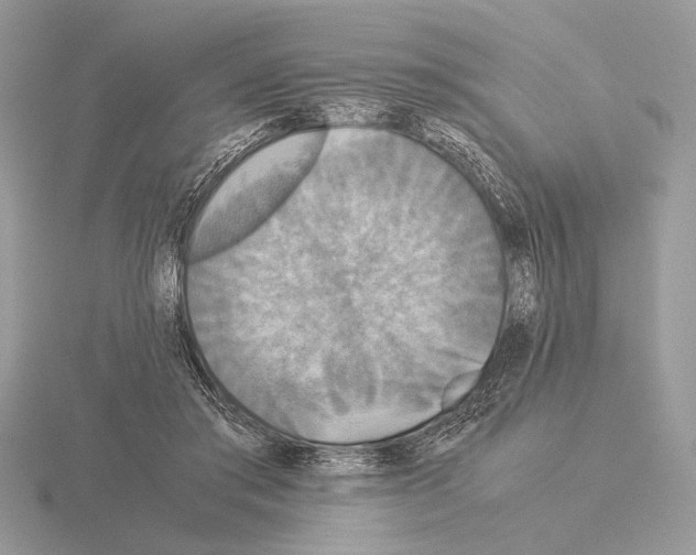 X0000115310405200912141141