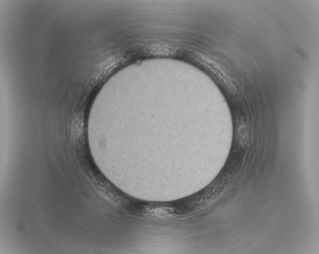 X0000115310407200912141141