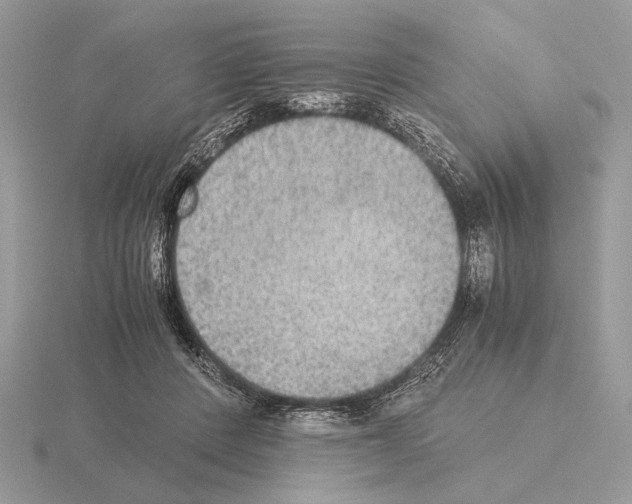 X0000115310408200912141141