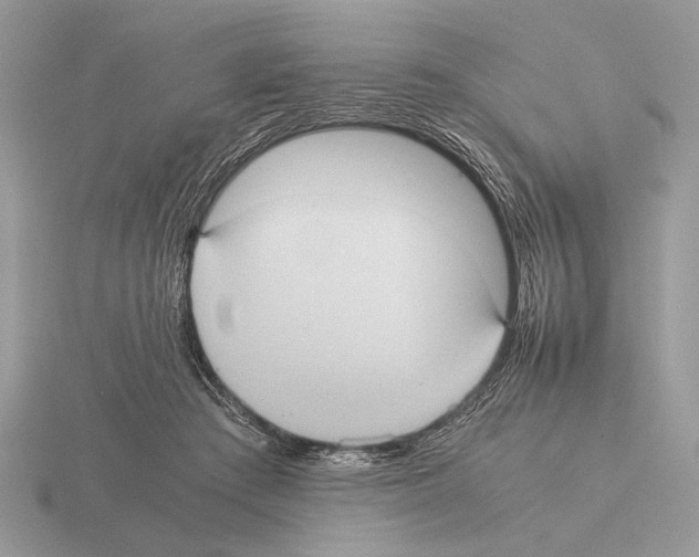 X0000115310409200912141141