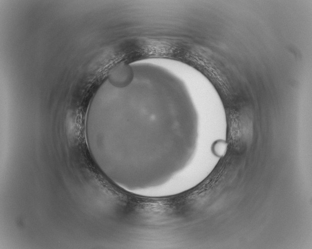 X0000115310411200912141141