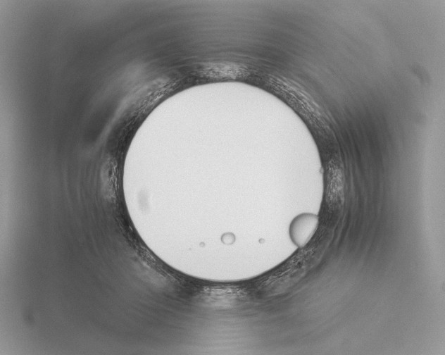 X0000115310414200912141141