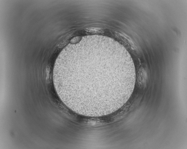 X0000115310420200912141141