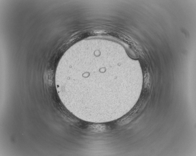 X0000115310421200912141141