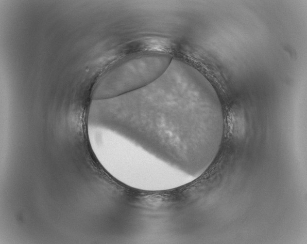 X0000115310423200912141141