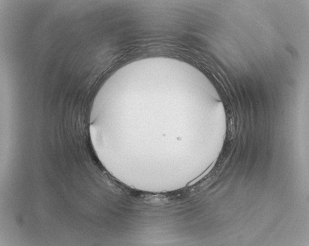 X0000115310424200912141141