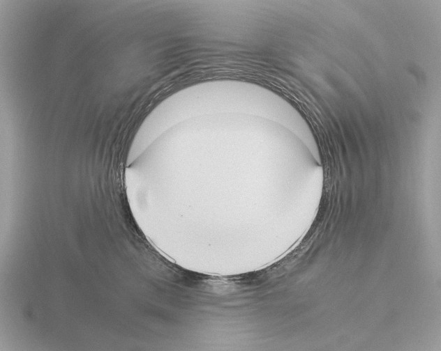 X0000115310425200912141141