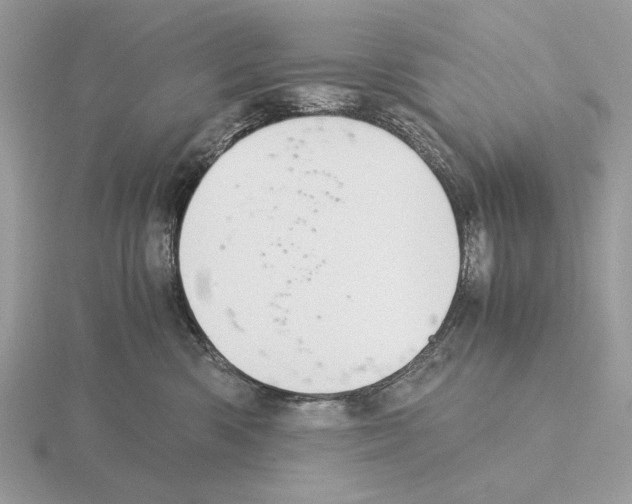 X0000115310426200912141141