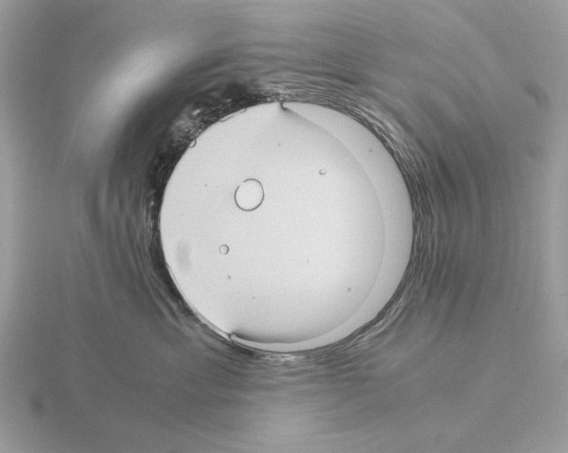 X0000115310429200912141141