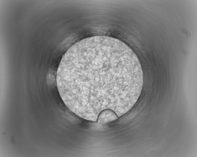 X0000115310432200912141141