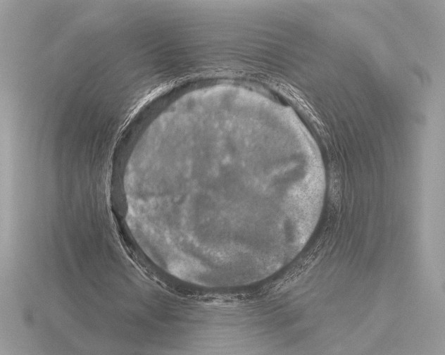 X0000115310434200912141140