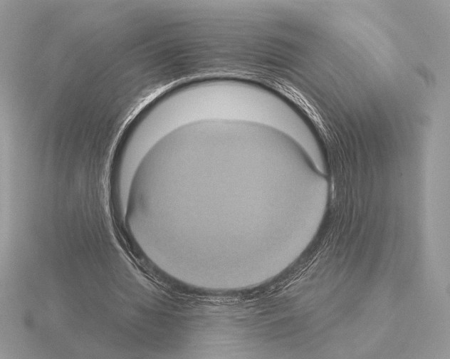 X0000115310436200912141140