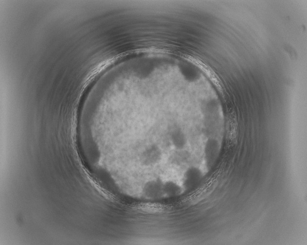 X0000115310437200912141140