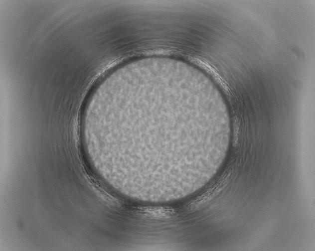 X0000115310439200912141140