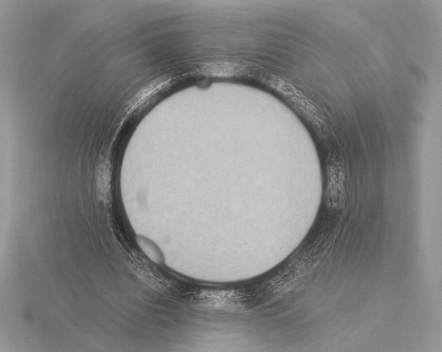 X0000115310440200912141140