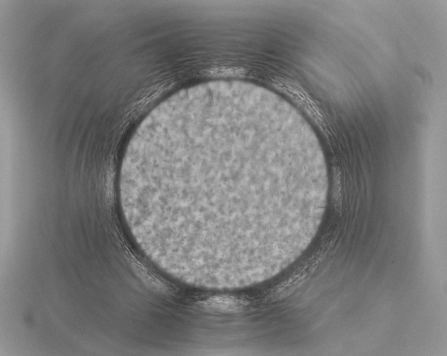 X0000115310441200912141140