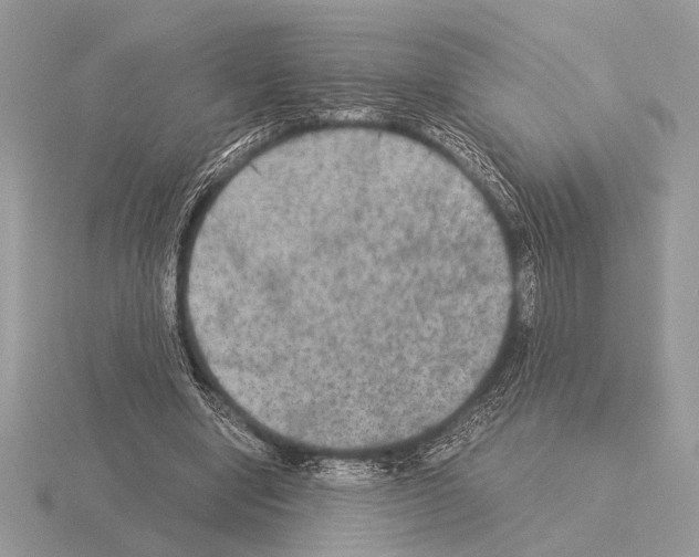 X0000115310442200912141140