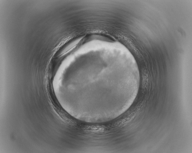 X0000115310443200912141140