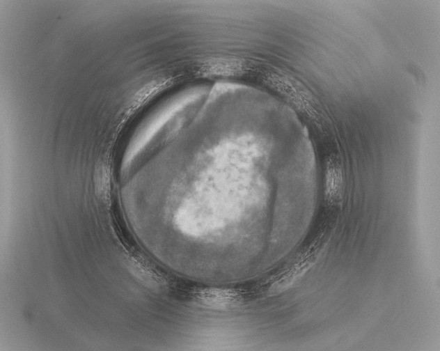 X0000115310444200912141140