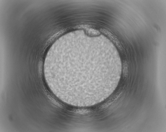 X0000115310445200912141140