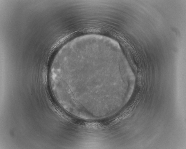 X0000115310446200912141140