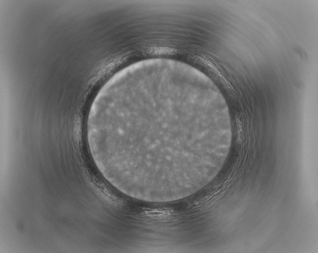 X0000115310447200912141140