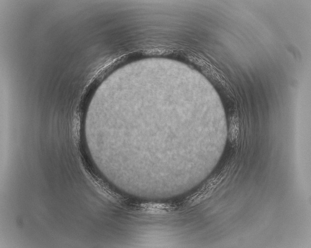 X0000115310448200912141140