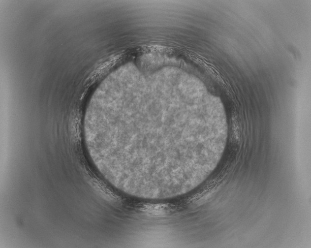 X0000115310450200912141140