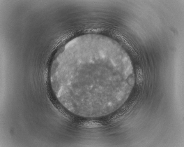 X0000115310451200912141140